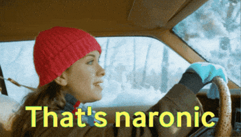 Irony GIF by Skint Dressage Daddy