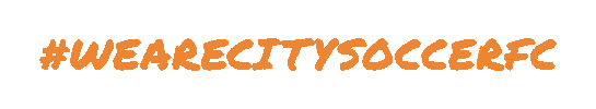 City Soccer FC Sticker