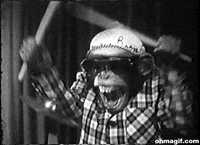 Animal Drummer Gifs Get The Best Gif On Giphy