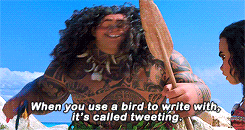 Bird Twitter GIF