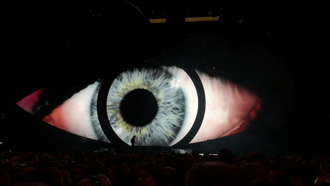 Katy Perry Witness Tour GIFs - Get the best GIF on GIPHY