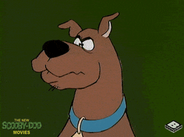 scooby doo what GIF by Boomerang Official