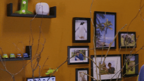 Hide And Seek Gifs Get The Best Gif On Giphy