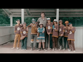 Baseball Quebec GIF