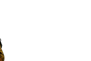 Good Bye Direita Sticker by Mayra Carvalho