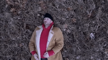 music video what GIF by Polyvinyl Records