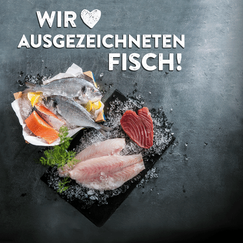 Frischfisch GIF