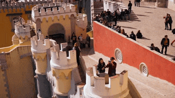 portugal zoom GIF by For 91 Days