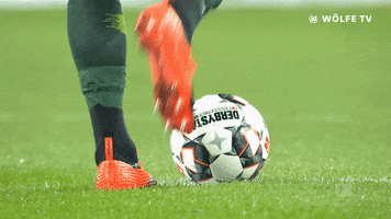 football soccer GIF by VfL Wolfsburg