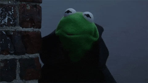 https://media2.giphy.com/media/2zelCiUo5KJyN8MgMr/giphy.gif?cid=19f5b51a5c44ddd76470415a2e1d296d