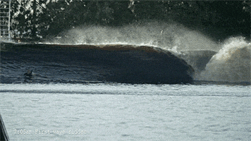 surf dude GIF by Digg