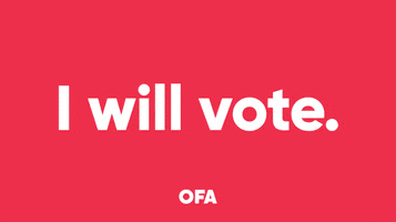 Election Voting GIF by Organizing for Action
