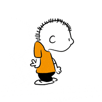 charlie brown dance GIF by niallycat