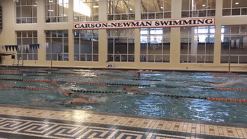 cnsw18 GIF by Carson-Newman Athletics