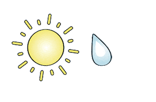 Beautyinmotion Loveyoursweat Sticker by Freskincare