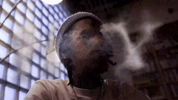 Chavo GIF
