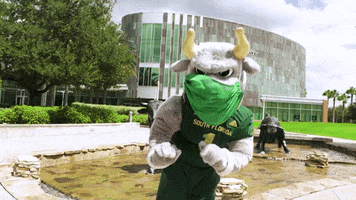 Mascot Facemask GIF by University of South Florida
