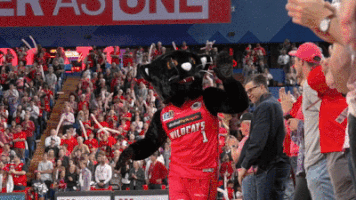 Dance Basketball GIF by Perth Wildcats