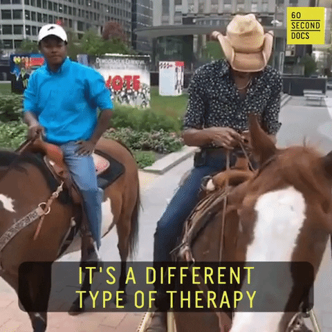 Mental Health Horse GIF by 60 Second Docs