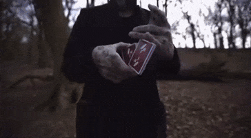 Playing Cards Shuffle GIF by Black Roses Playing Cards