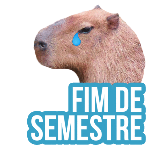 Capivara Ufms Sticker by Universidade Federal de Mato Grosso do Sul