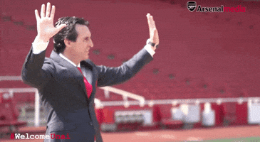 unai emery thumbs up GIF by Arsenal