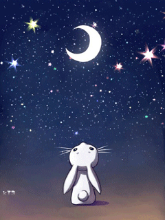 Night Stars GIF
