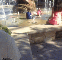 Squirting GIFs - Find & Share on GIPHY