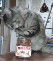 Nutella GIF