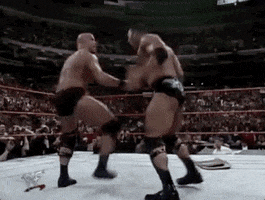 stone cold wrestling GIF by WWE