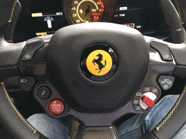 Ferrari GIF by alessandrosherpa
