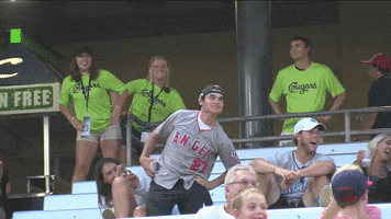 jump on it dance cam GIF by Kane County Cougars