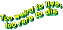 Too Rare To Die Catchphrase Sticker by AnimatedText
