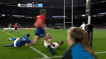 celebrate england rugby GIF by Guinness Six Nations