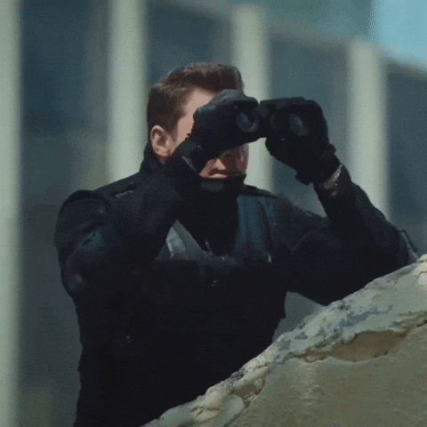 Police GIF