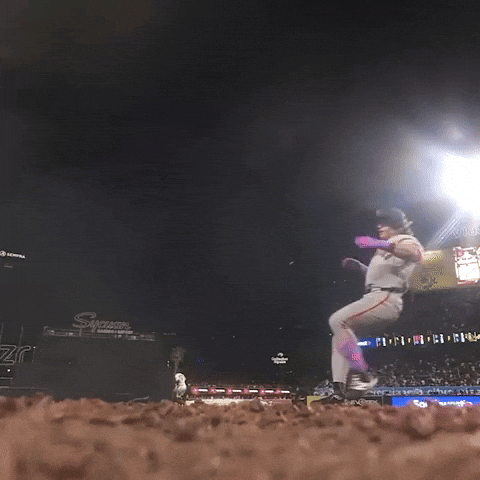 Celebrate San Francisco Giants GIF by MLB