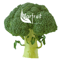 MARFRUIT Sticker