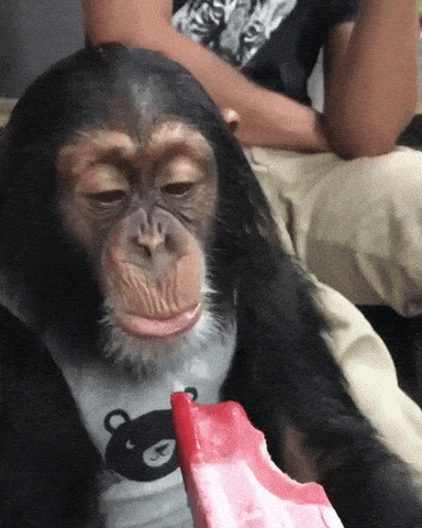 giphy-downsized-large.gif