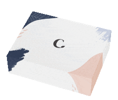 The Skin Consult Sticker