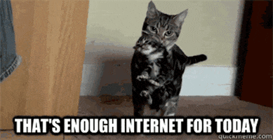 Cats Enough animated GIF