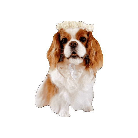 Doggy Sticker