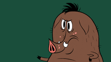 Happy I Am The Best GIF by ZIP ZIP