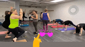 Pink Flamingo Yoga GIF