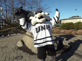 new hampshire dancing GIF by University of New Hampshire