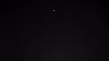 admiafrica GIF