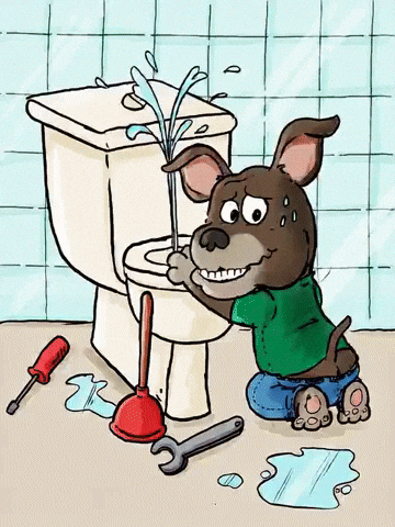 Cashew Gets a Job GIF