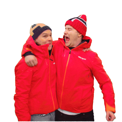 Sweden Norway Sticker by Helt Ramm