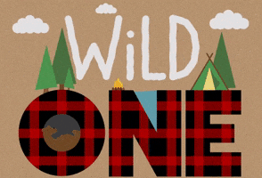 camping wild one GIF by evite
