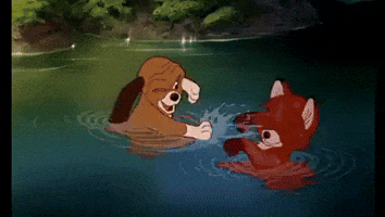 Animation GIF