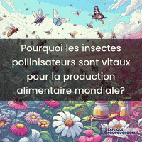 expliquepourquoi-pollinisation-insectes-pollinisateurs-scurit-alimentaire-38Wm31lhqnjfxwFhZs